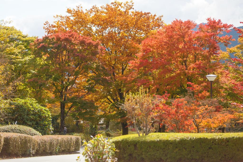 Hakone Lake Hotel Dış mekan fotoğraf